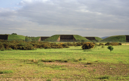 Robinson in Ruins