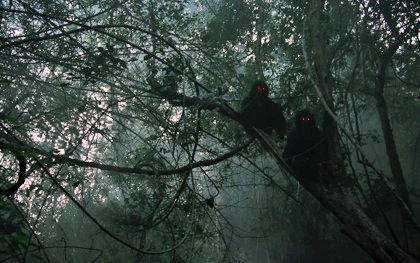 Uncle Boonmee Who Can Remember His Past Lives