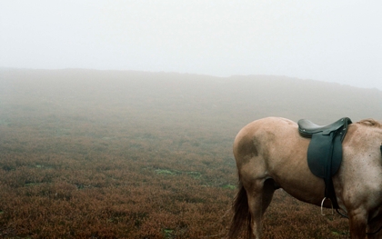 Wuthering Heights