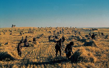 Days of Heaven